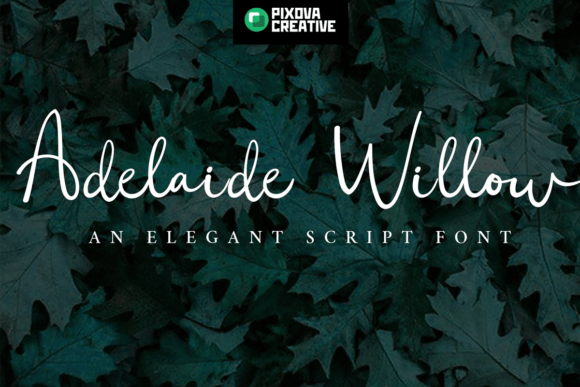 Adelaide Willow: A Script Font for Elegant Web Design