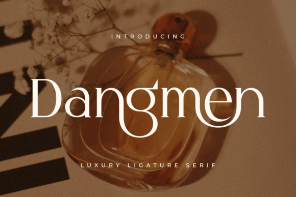 Dangmen: A Refined Serif Font for Modern Web Design