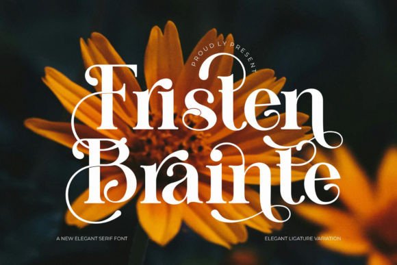 Fristen Brainte: A Serif Font for Clear Campaigns