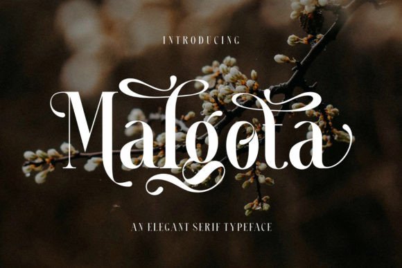 Malgota: A Premium Serif Typeface for Bold Campaigns
