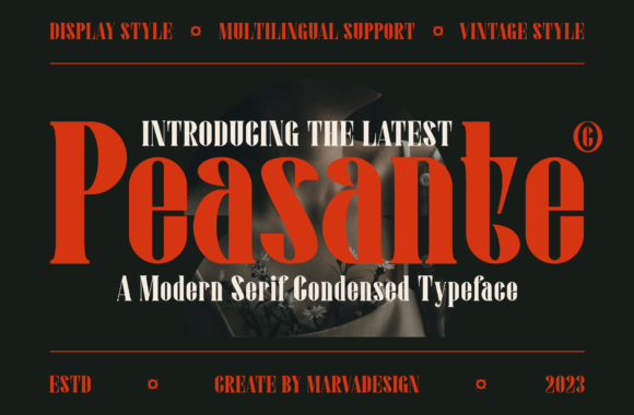 Peasante: The Elegant Serif Font for Handmade Brands