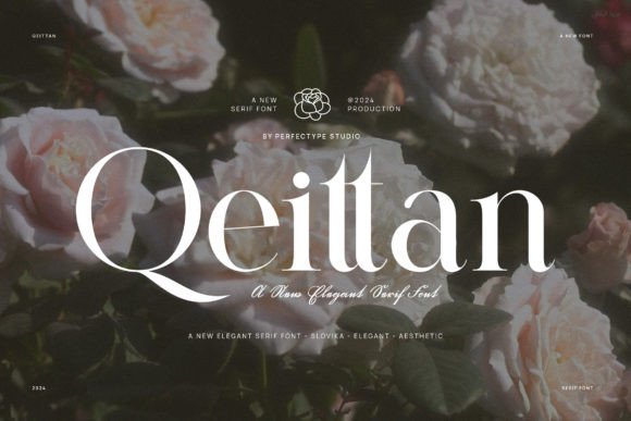 Qeittan: A Premium Serif Font for Elegant Campaigns