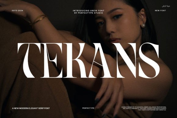 Tekans: The Serif Font That Elevates Your Brand Identity