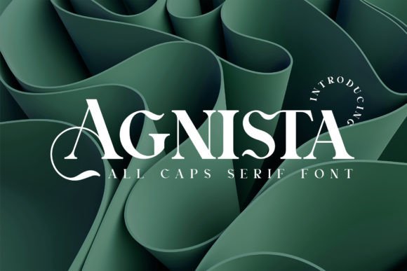 Why Agnista Serif Is the Perfect Typeface for Your Brand